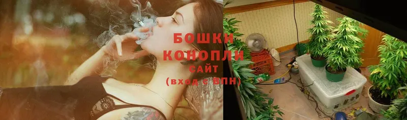 сколько стоит  Алзамай  kraken зеркало  Конопля SATIVA & INDICA 